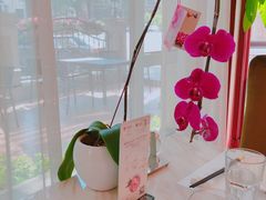 -南山鲜虾面·活鲜小馆·海味大连菜(南山总店)