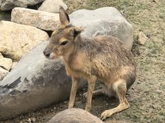 -祥源·阜阳生态乐园