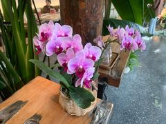 -北平小院设计酒店
