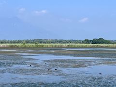 -野鸭湖国家湿地公园
