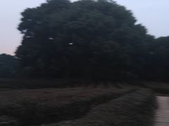 -西湖风景区十里琅珰-五云山