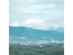 -长虫山生态公园风景林