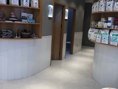 -关爱宠物医院·猫科中心·消化科(滨湖万达分院)