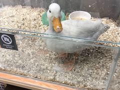 -狗道宠物(常熟印象城店)