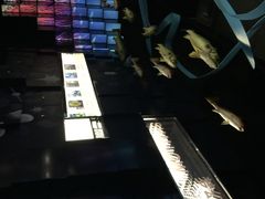 iphone_upload_pic-同济大学四平路校区深海探索馆