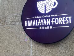 -喜马拉雅森HIMALAYAN FOREST