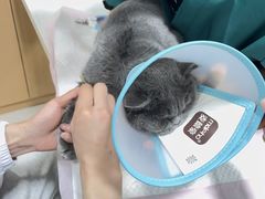 -美联众合24小时·皮肤科·外科·全科诊疗中心(华苑分院)