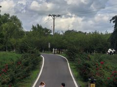 -大连铭湖国际观光牧场