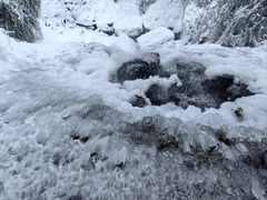 -龙苍沟森林公园