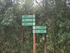 -荷塘月色湿地公园·向阳花洲