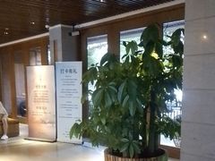 -浅深Cheersum(曹杨店)