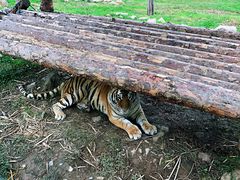 -西安秦岭野生动物园