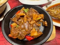 -金鼎轩(亚运村店)