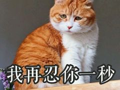 -1点点(东方宝泰店)