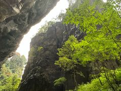 -蝶舞清江·恩施云顶景区(黄鹤峰林)