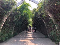 -天津东丽湖风景区