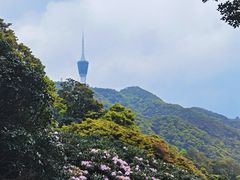 -梧桐山风景名胜区