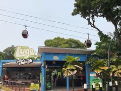 -圣淘沙天际线斜坡滑车