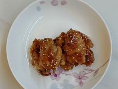 -田螺阿姨自营月嫂·育儿嫂(高新店)