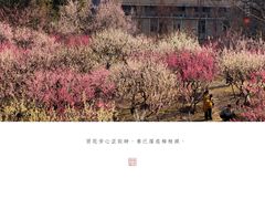 -南京古林公园