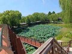 -天平湖公园