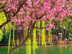 -尚贤河湿地