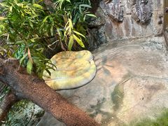 -上海大自然野生昆虫馆