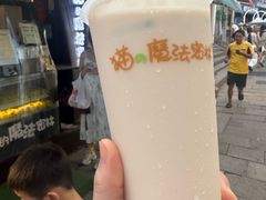 -猫的魔法密林(衣裳街店)