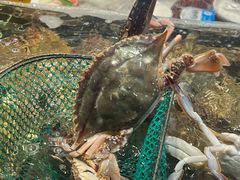 -好兄弟郭巨海鲜(天一阁店)