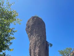 -磬锤峰森林公园