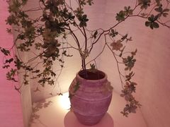 -舒小悦·舒养SPA·古法推拿(光环中心店)