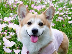 -天目湖涵田度假村