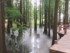 -东湖落雁景区