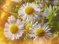 景点-皇粮浜公园