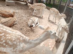 -鄂尔多斯野生动物园