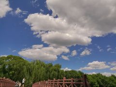 -大兴滨河森林公园