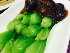 -燕春楼(海河华鼎店)