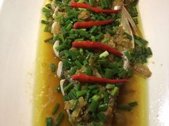 酱椒翘壳鱼-老房子金沙元年川菜食府·花园餐厅(金沙店)