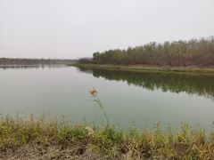 -天津东丽湖风景区