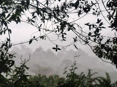 -番禺大夫山森林公园