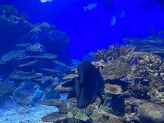 -海合安武汉极地海洋公园