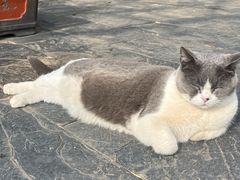 -长春观