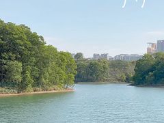 -聚龙山公园