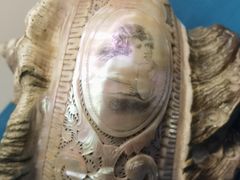 -青岛贝壳博物馆