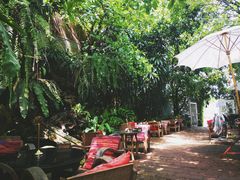 -Fern Forest Cafe