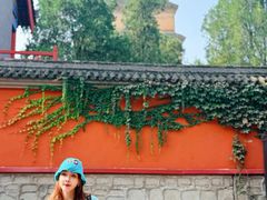 -大慈恩寺(大雁塔)