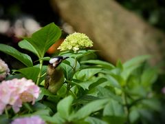 -常州古运河南大街文化旅游区-人民公园