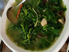 -东鸽皇(奥园·中环广场店)