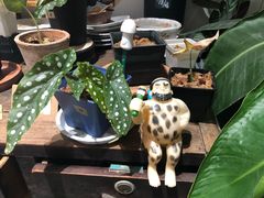 -About Bistro關於·泰式家庭料理