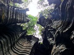 -梭布垭石林景区